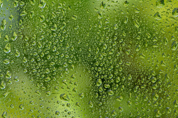 Water drop on glass window with green tree background.