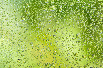 Water drop on glass window with green tree background.