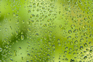 Water drop on glass window with green tree background.