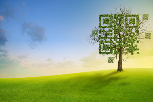 Tree shaped like qrcore with the green mountain and blue sky background.