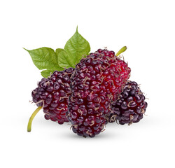 Fresh mulberry with leaves isolated on white background