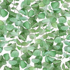 Fototapeta na wymiar watercolor seamless pattern with eucalyptus leaves. vintage print with green leaves and eucalyptus branches on a white background