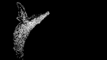 数式クジラ（背景黒）