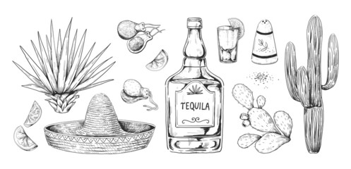 Tequila sketch. Hand drawn Mexican alcohol beverage made of agave with salt and lemon. Engraving alcoholic drink and cactuses. Sombrero and castanets. Vector drawings set for bar menu - obrazy, fototapety, plakaty
