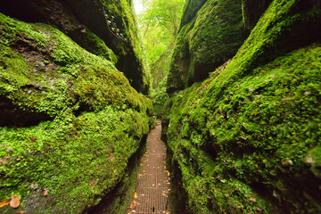 Drachenschlucht bei Eisenach in Thüringen
