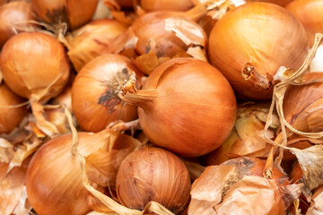 The new harvest onions sold at local farm market
