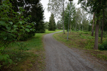 walkway in the woods