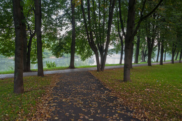 A sidewalk covered with autumn leaves leads to the city pond