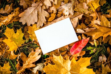 Naklejka na ściany i meble Autumn background-a sheet of white paper on a background of fallen autumn leaves 
