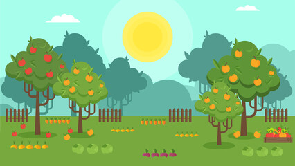 Vector country landscape with fruit trees. Apple orchard.
