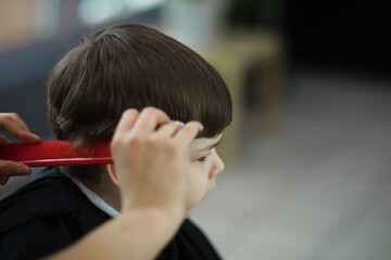 Handsome boy getting his hair and beard cut at barber shop, barber shop rear view