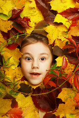 Artistic conceptual autumn girl portrait. Colorful leaves. Leaves of trees around an emotional...