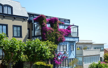 Fototapeta na wymiar Lombard Street in der Downtown von San Francisco, Kalifornien