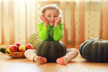 Fototapeta premium Little child choose a pumpkin at autumn. Child sitting on giant pumpkin. Pumpkin is traditional vegetable used on American holidays - Halloween and Thanksgiving Day.