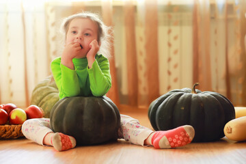 Little child choose a pumpkin at autumn. Child sitting on giant pumpkin. Pumpkin is traditional vegetable used on American holidays - Halloween and Thanksgiving Day.