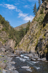 Fototapeta na wymiar Mountain river among the rocks in Tusheti, travel across Georgia. Caucasus