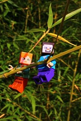 Fototapeta premium LEGO Minecraft figures of Steve and Alex main characters, climbing together on side branch of Phyllostachys bambo o plant in dense bamboo forest, summer afternoon sunshine. 