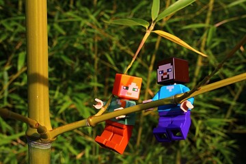 Obraz premium LEGO Minecraft figures of Steve and Alex arms travelling on side branch of bamboo plant, Phyllostachys genus, sunlit by late afternoon summer sunshine.