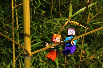 Obraz premium LEGO Minecraft figures of Steve and Alex, climbing together on side branch of bamboo plant, Phyllostachys genus, in summer afternoon sunshine. 