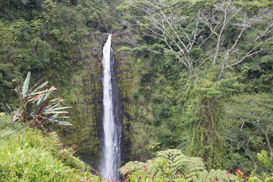 waterfall in the forest