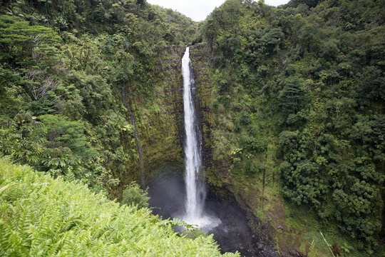 waterfall in the forest
