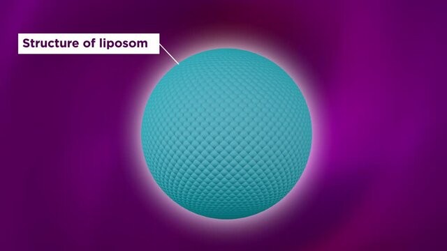 Structure of liposome, phospholipid, cell, 3d render animation. 3D Render