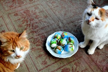 Two cats and Easter eggs funny