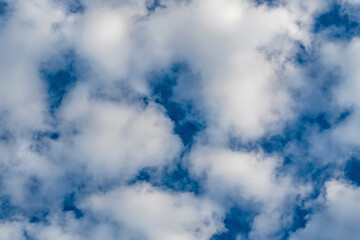Fototapeta premium White fluffy cirrus clouds against the dark blue autumn sky.
