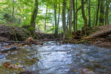 Lauchagrund bei Bad Tabarz im Thüringer Wald
