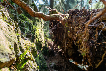 Lauchagrund bei Bad Tabarz im Thüringer Wald