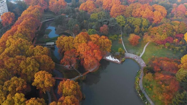 China Hubei Wuhan Liberation Park autumn aerial photography scenery