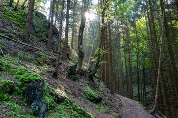 Lauchagrund bei Bad Tabarz im Thüringer Wald