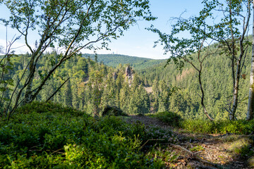 Lauchagrund bei Bad Tabarz im Thüringer Wald