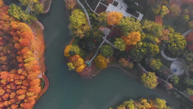 China Hubei Wuhan Liberation Park autumn aerial photography scenery