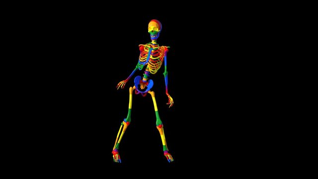 rainbow skeleton dancing, animation, transparent background