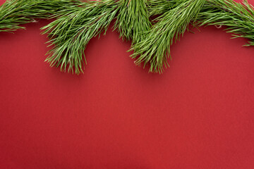 Christmas composition. Fir tree branches on red background. Flat lay, top view, copy space