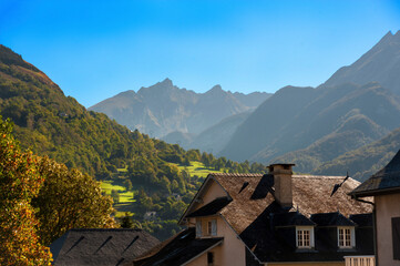 landscape autumn forest
