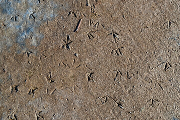 texture on clay