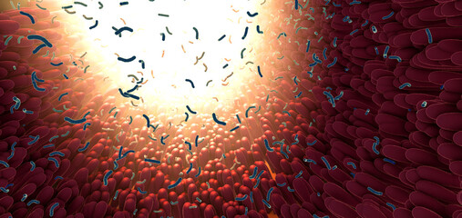 Bacteria as part of the intestinal microbiome in the digestive tract - 3d illustration