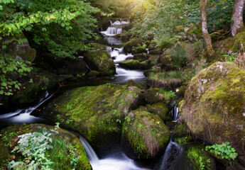 Obraz premium waterfall in black and white