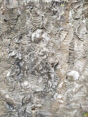 Abstract irregular rough surface texture fossil pattern concrete vertical background