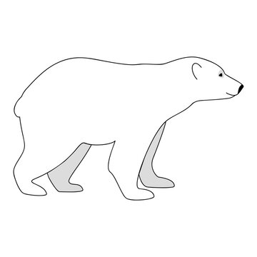 vector white arctic bear wild nature fur hunt animal  north pole enviromental protection ecological problem