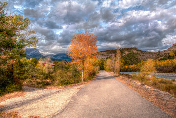 strolling on a road near autumn