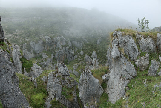 Lagos de Covadonga 2