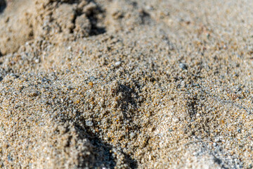 zbliżenie na piasek na plaży