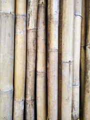 Vertical row of natural weathered bamboo poles background pattern