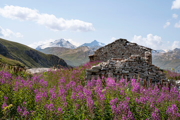 Mountain landscape with a ruin of an old house, flowers and glaciers