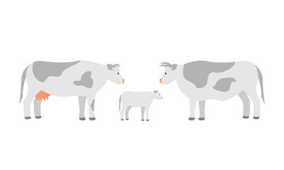 Farm animals cow family, dad mom and calf