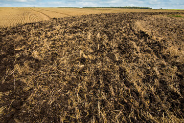 a part of the field is plowed to prepare the soil for planting a new crop