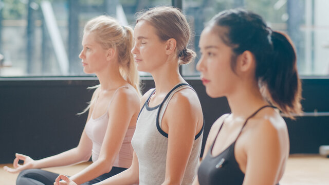 Young diversity sporty people practicing yoga lesson with instructor. Multi racial group of women exercising healthy lifestyle in fitness studio. Sport activity, gymnastics or ballet dancing class.